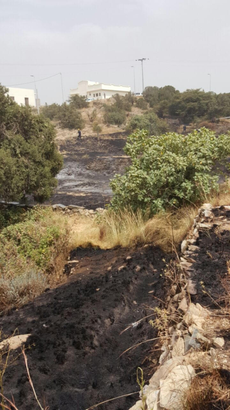 سلك ضَغْط عالي يتسبب في حريق أراضي زراعية بجماجم الباحة ‫(284259502)‬ ‫‬