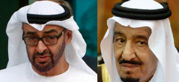 #الملك يتبادل مع ولي عهد أبو ظبي التعازي في شهداء البلدين باليمن