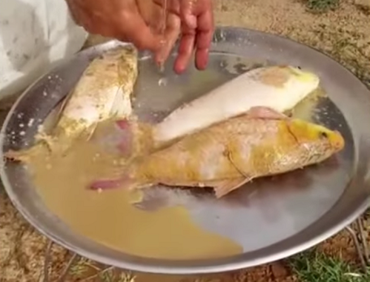 في ظاهرة نادرة.. أسماك بروضة الخفس في الرياض