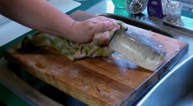 #تيوب_المواطن :سمكة تظل على قيد الحياة بعد قطع رأسها بـ 40 دقيقة !