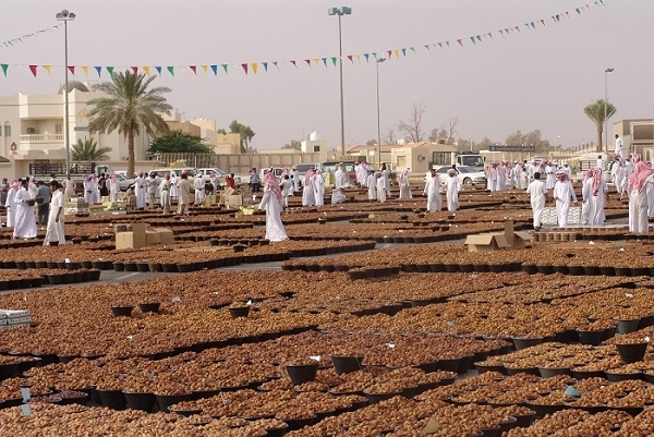 نسبة “الدلالين” المرتفعة تنعش سوق التمور ببريدة