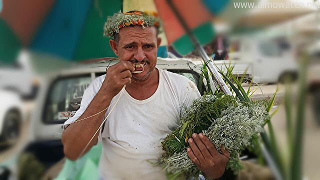 بالصور.. سوق الخوبة يستقبل المتسوقين بالفل والكادي