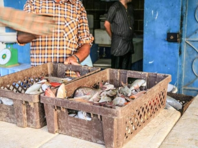 سوق السمك جدة11