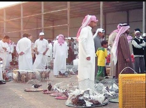 بغية التحكم بإنفلونزا الطيور.. البيئة تُطَهِّر سوق العزيزية في الرياض من الطيور