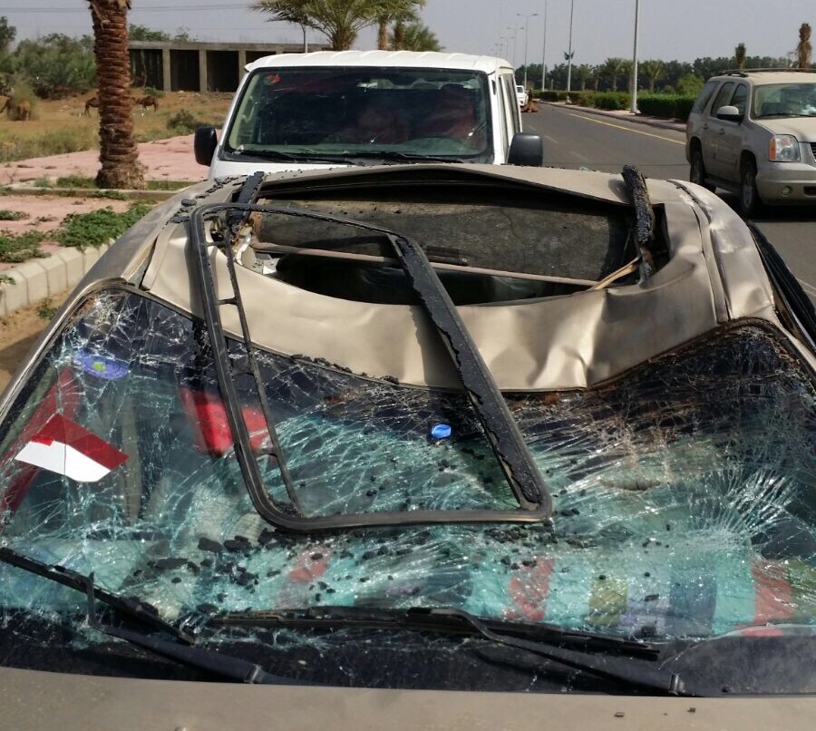 بالصور.. إصابة قائد سيارة ارتطمت بجمل سائب في ضمد