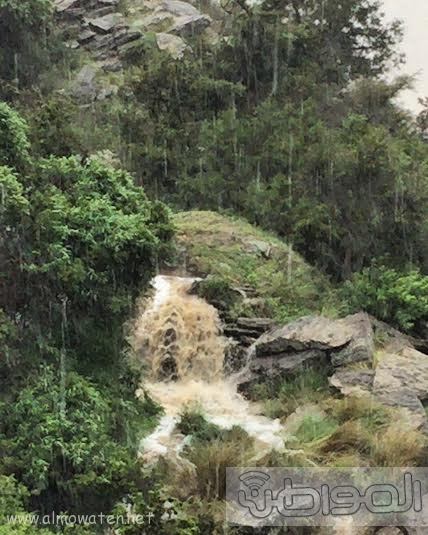 سيول عسير تظهر جمال الطبيعة وسحرها12