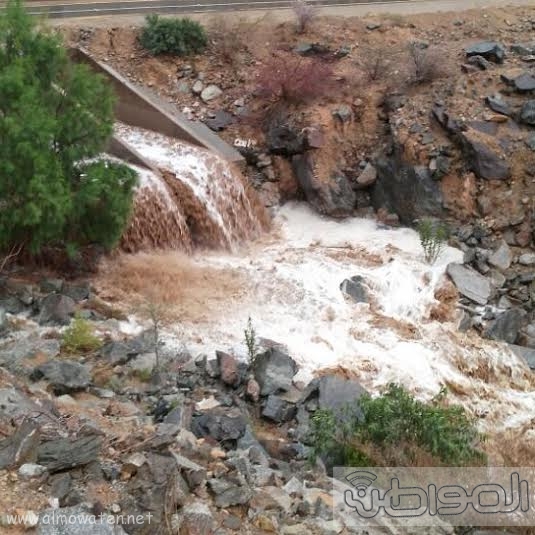 سيول عسير تظهر جمال الطبيعة وسحرها13