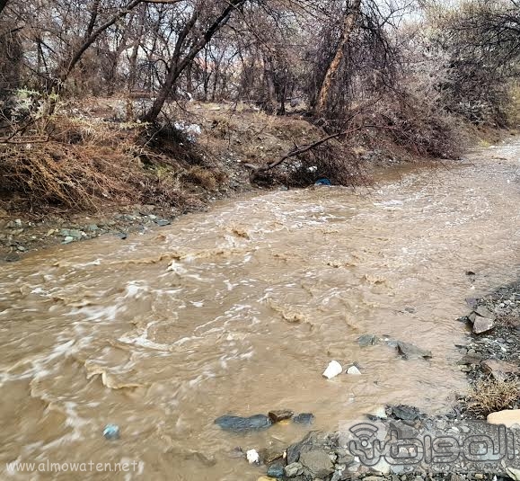 سيول عسير تظهر جمال الطبيعة وسحرها17