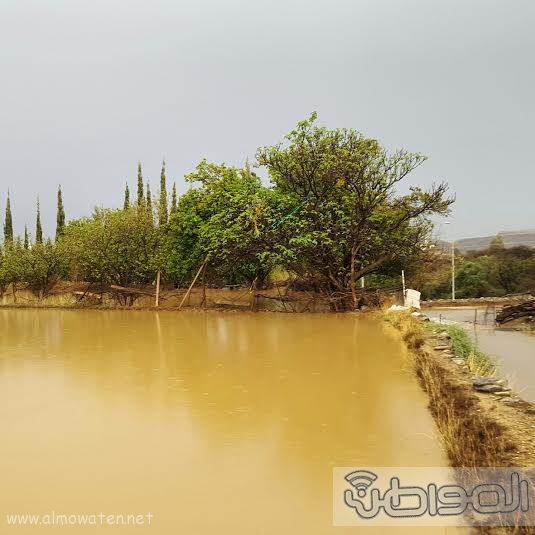 سيول عسير تظهر جمال الطبيعة وسحرها5