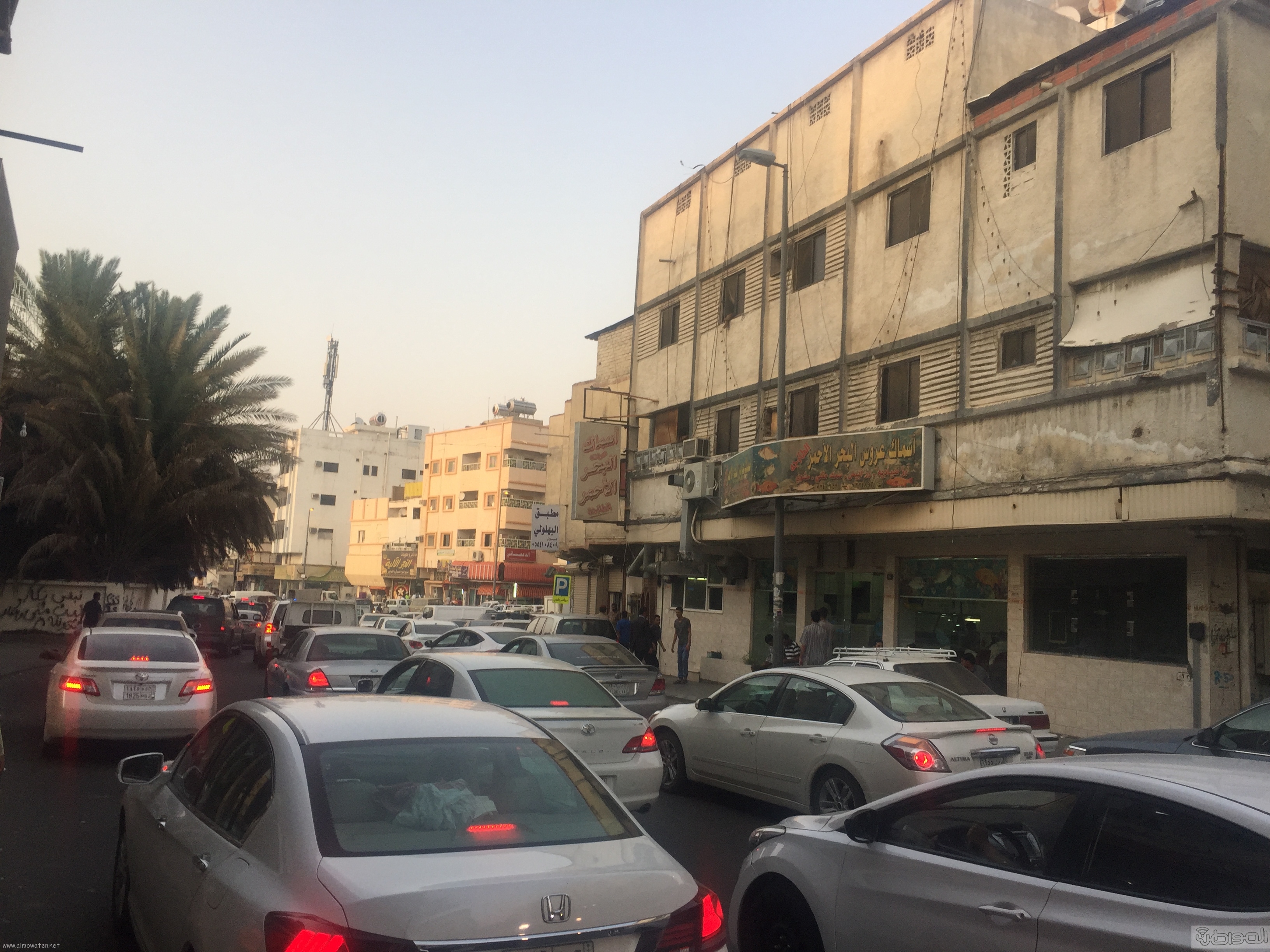 شارع عكاظ بالطائف زوار رمضان (5)