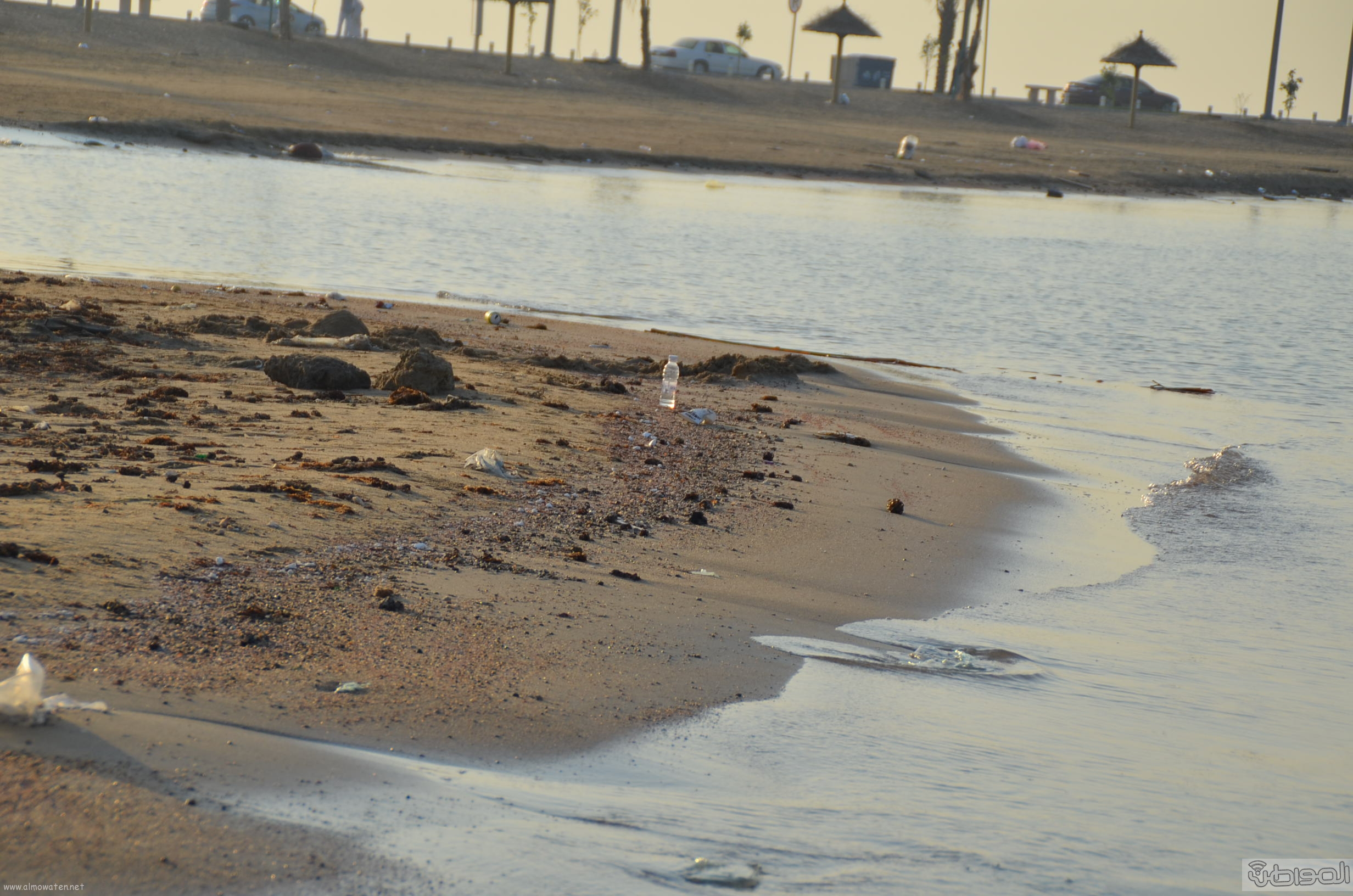 بالصور.. شاطئ السيف من واحة للجَمال إلى مكبّ للنفايات صحيفة المواطن