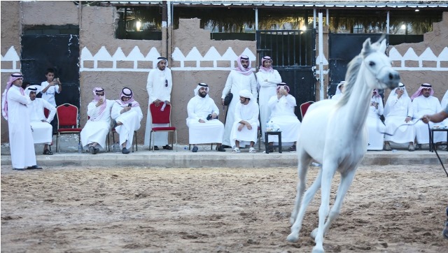 شعراء الخليج في قمة المدينة للتعرف على 3 ملايين قطعة نادرة (6)