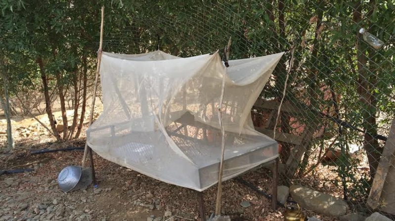 صحة عسير تكشف عن موقفها من إصابات الملاريا بين اهالي تهامة شهران11