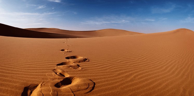 خبيرة NPR تروج للسياحة بالسعودية: بلد صحراء السحر والجمال
