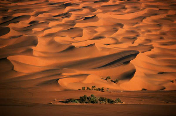 العثور على جثة مجهولة بصحراء الدومة