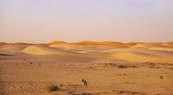 العثور على جثة وافد ثلاثيني بصحراء غرب بريدة