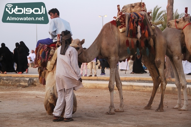 صور جادة عكاظ والفعاليات المصاحبة التي تقام بها في محافظة الطائف