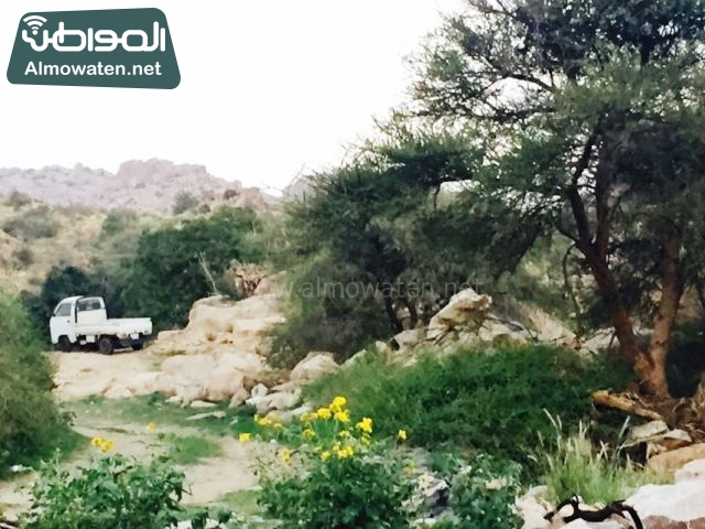 صور وادي ذي غزال بمنطقة الشفاء بمحافظة الطائف ألتقطتها صحيفة المواطن وتضمن عدد كبير من السياح بالمملكة العربية السعودية ‫(8)‬