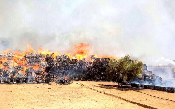 بالصور.. النيران تلتهم مستودعاً للأعلاف بتبوك