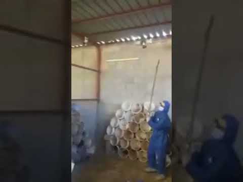 تخلّوا عن إنسانيّتهم فجاء العقاب سريعًا عقب فيديو ضرب الطيور