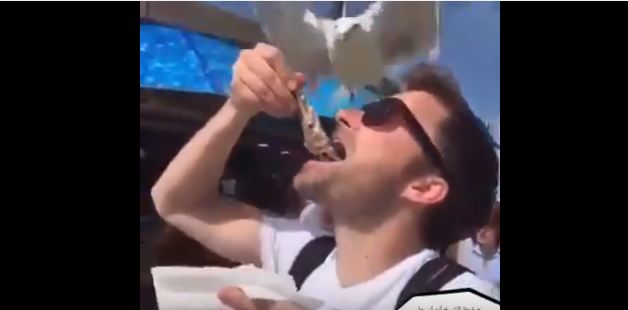 فيديو عجيب .. طائر يلتقط طعام شخص قبل دخوله فمه