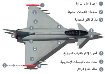 طائرة التايفون نجم رعد الشمال (3)