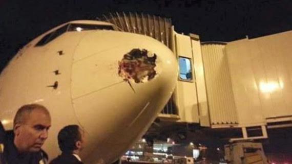 بالصور.. طائر عملاق يثقب طائرة مصرية في هيثرو