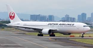 طائر يجبر طائرة يابانية على الهبوط اضطرارياً