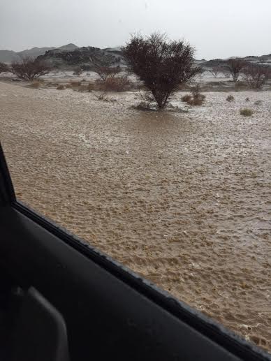 بالصور والفيديو .. مدني #عسير ينقذ أسرة احتجزت الأمطار مركبتهم بـ #طريب