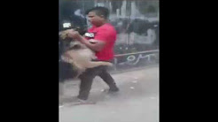 فيديو مروع.. طفل مصري يتصارع مع كلب مفترس وينطحه برأسه