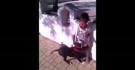 شاهد.. ماذا فعل طفل لحظة هجوم كلب شرس عليه؟