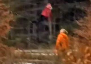 فيديو مرعب.. طفلة تطير في الهواء بغابات روسيا!