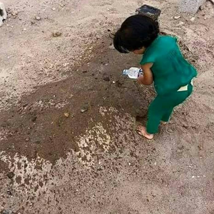 شاهد.. صورة مؤثرة لطفلة ترش الماء على قبر والدها
