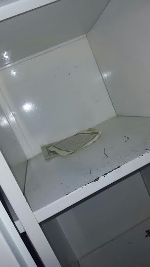 بالصور والفيديو.. حشرات وصراصير داخل غرف مستشفى الأطفال بـ #الطائف