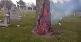 شاهد.. لقطات غريبة لشجرة تحترق من الداخل بعد عاصفة قوية