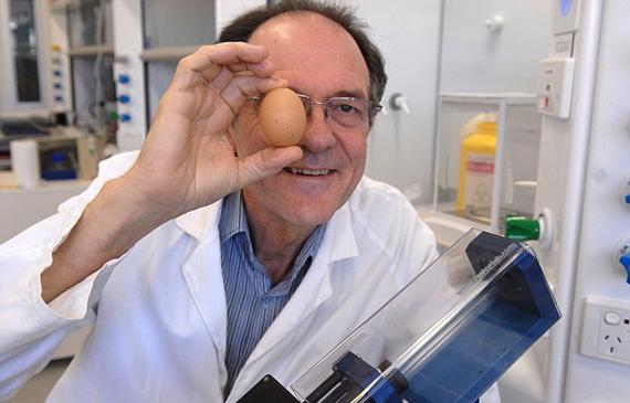 عالم أسترالي يتوصل إلى اختراع لإعادة البيضة نيئة بعد سلقها