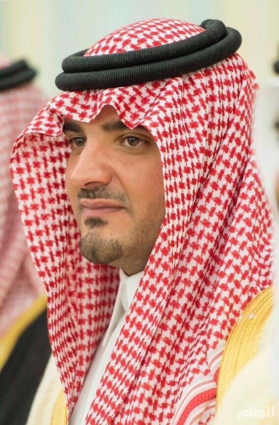 وزير الداخلية يبحث آخر تطورات الأوضاع مع نظيره الإماراتي في جدة
