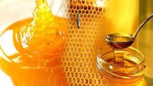 العسل غذاء الشتاء والهدية الأولى لزوار مهرجان محايل عسير