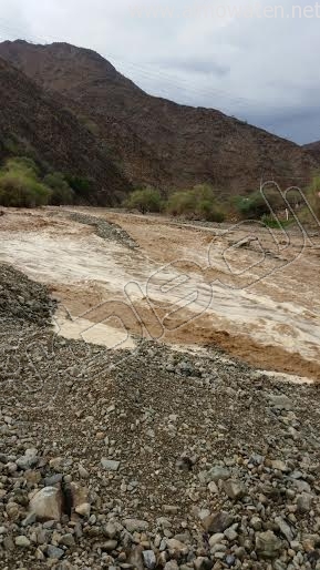 عسير11