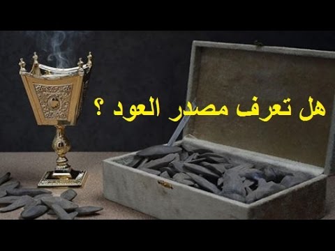 بالفيديو.. هذا هو مصدر عطر العود