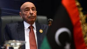 البرلمان الليبي يطالب بانتخابات رئاسية مبكرة