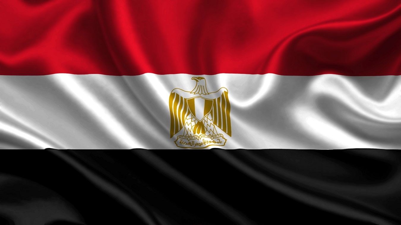 مصر تؤكد مساندتها للمملكة وجهودها في التعامل مع اختفاء خاشقجي - المواطن