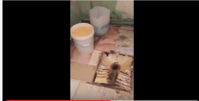 فيديو صادم.. عمالة مخالفة تجهّز وجبات مطعم بدورات مياه في #الأفلاج