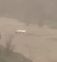 بالفيديو.. سيارة تغرق في سيول وادي برحرح #الباحة