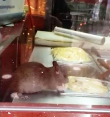 بالفيديو.. فأر يأكل من مطعم شهير بالشرقية.. والأمانة: المقطع قديم