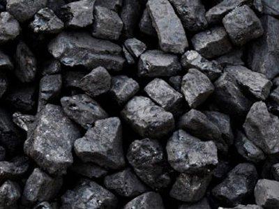 ضبط 5 معامل للفحم المحلي في ينبع النخل