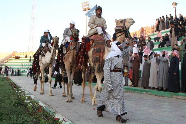 فعاليات كرنفال الجوف في مهرجان الزيتون (6)