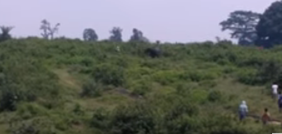 بالفيديو.. فيل يقتل سائحًا بسبب سيلفي