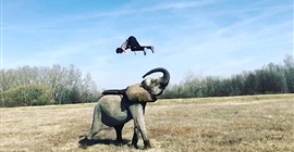 بالفيديو.. مدرب يقسو على فيل صغير خلال التدريبات يثير موجة من الغضب!!