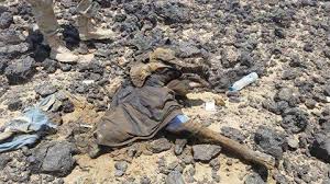 عشرات القتلى والجرحى من الميليشيات في جبهة حام باليمن - المواطن